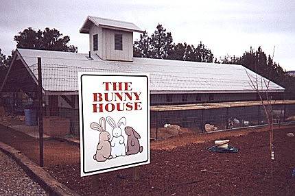 Bunny House mit Schild