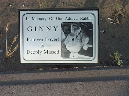 Angel's Rest: Ginny